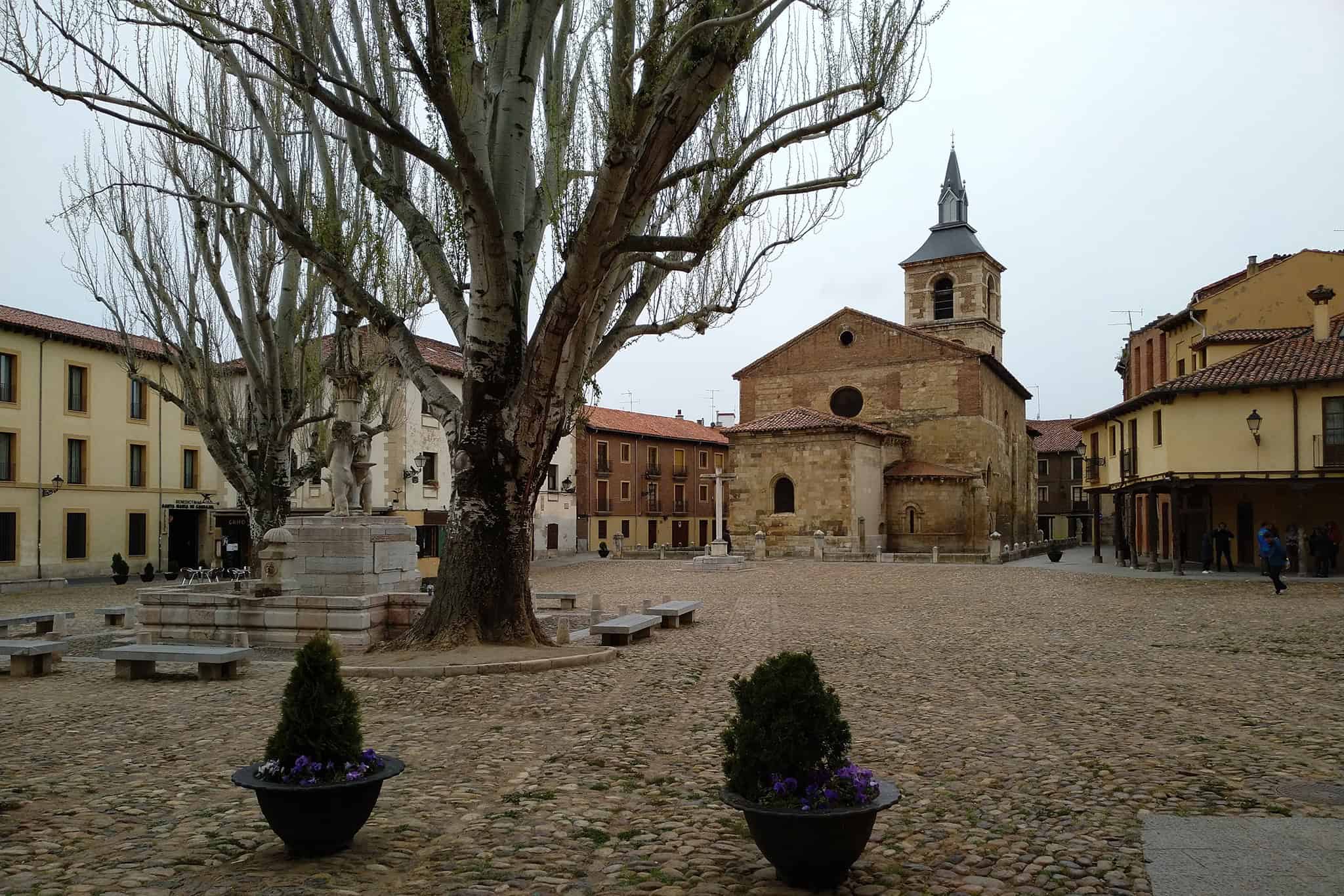 Privada - Catedral y centro 02