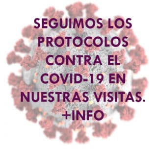 https://vguiadas1.indipro.es/wp-content/uploads/2020/04/coronavirus-320x304.jpg